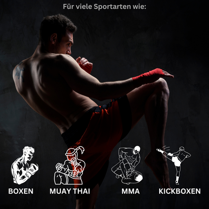 Boxing-Complete-Bundle